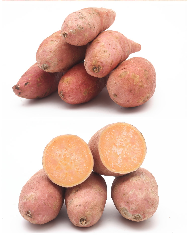 富硒之乡新田县农家新鲜红薯黄心地瓜5斤装全国包邮