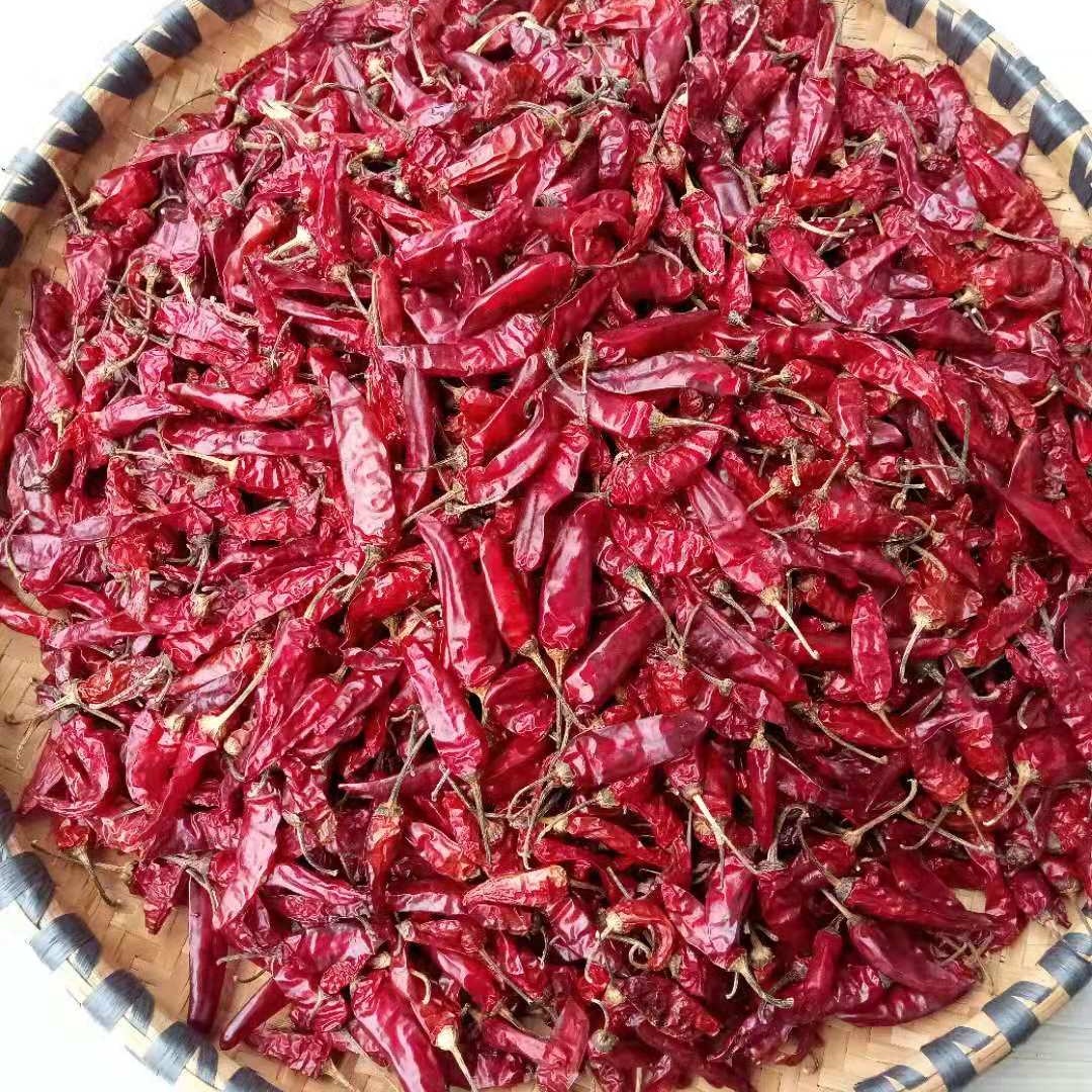 富硒之乡新田县陶岭三味辣椒干辣椒500g【农家手工自制】